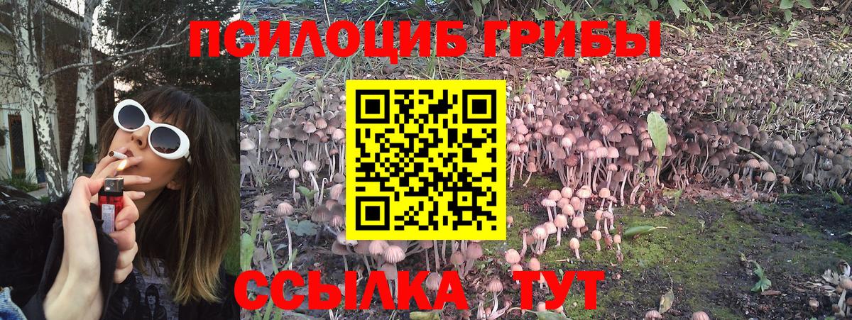 Галлюциногенные грибы Magic Shrooms Луховицы