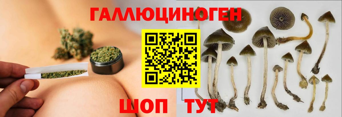 Псилоцибиновые грибы GOLDEN TEACHER  Вход с VPN  Луховицы  купить наркотик  Галлюциногенные грибы GOLDEN TEACHER 